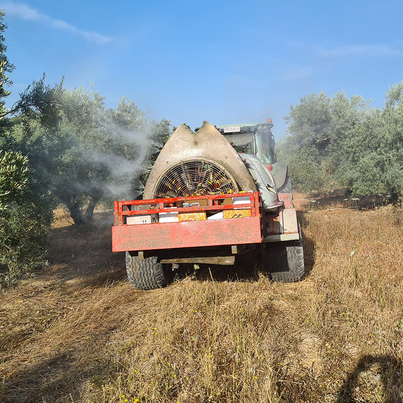 Agronomos Arrebola Tratamiento